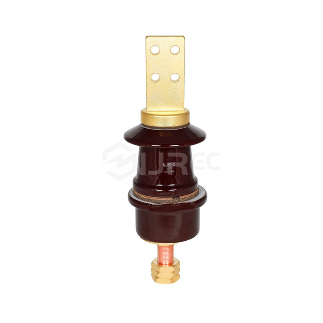 DIN 표준 3KV 850A 저전압 도자기 변압기 부싱