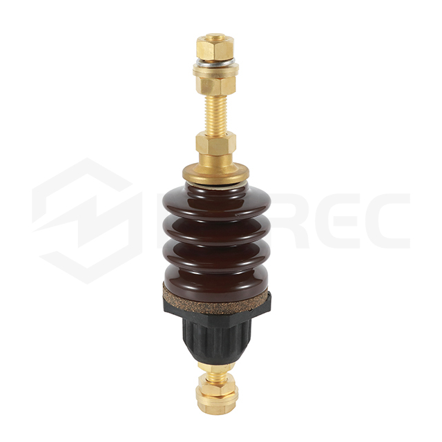 10kv 6500A DIN 42534 HV 도자기 변압기 부싱
