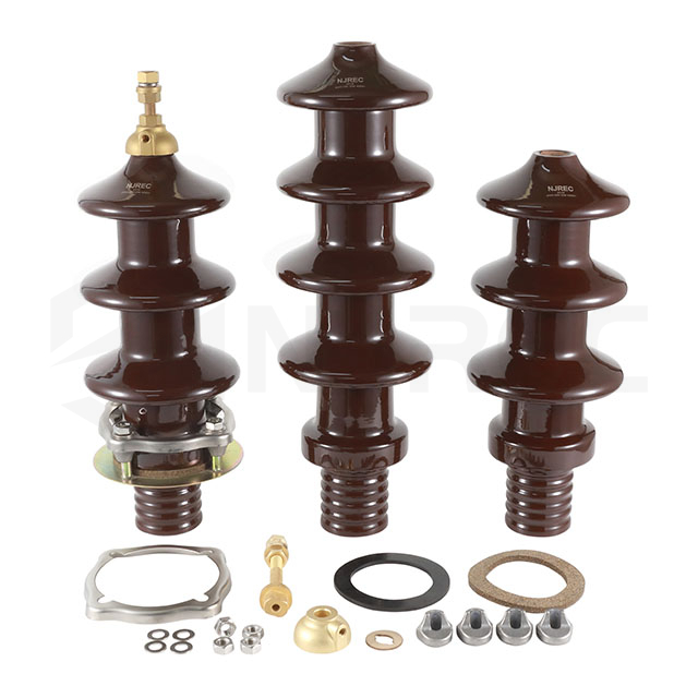 10kv 6500A DIN 42534 HV 도자기 변압기 부싱